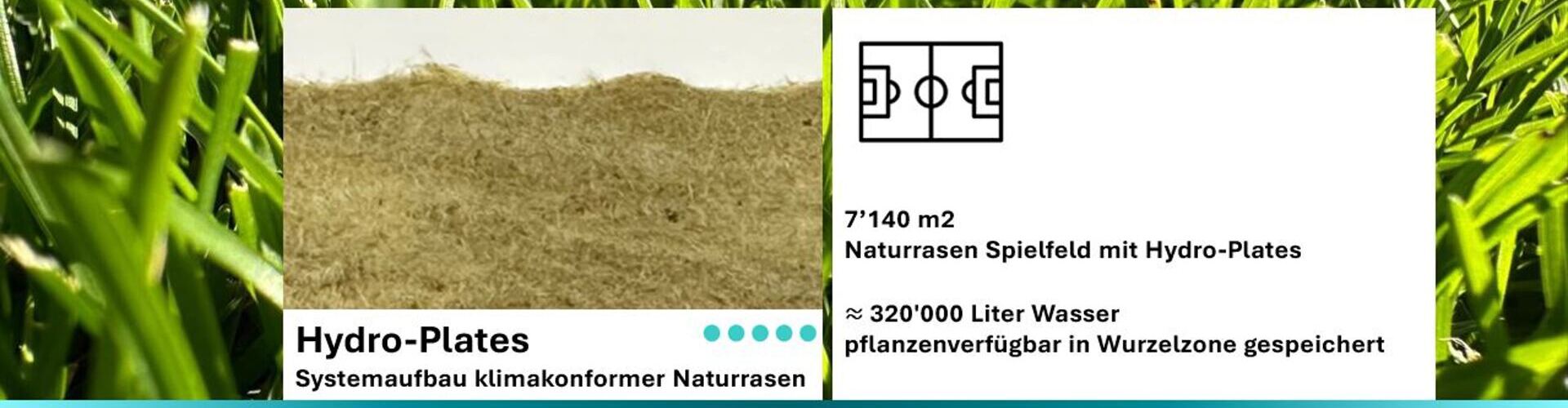 Hydro-Plates Systemaufbau klimakonformer Naturrasen
