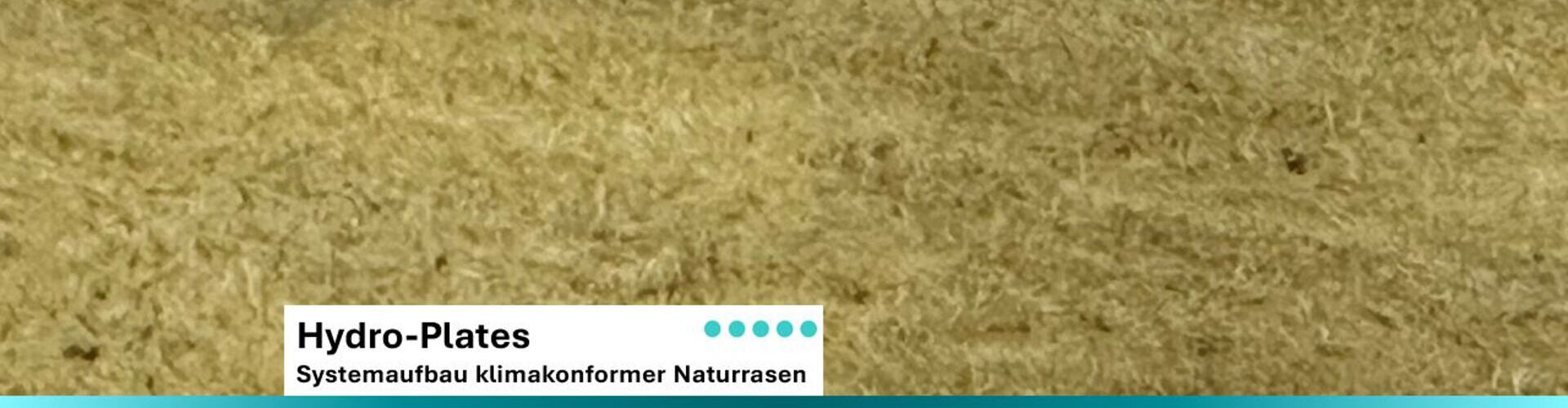 Hydro-Plates Systemaufbau klimakonformer Naturrasen